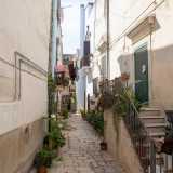 Invece chiasso della Rosa, all�incrocio su via dei Lacci, rappresenta un omaggio alla benefattrice del borgo, Donna Rosa, anche se potrebbe indicare l�attivit� di qualche fioraio